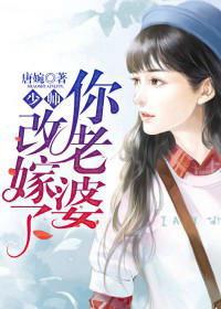娘子嫁我为吃瓜小说免费阅读,宫廷美食传