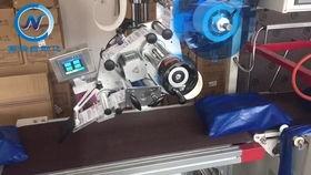 纳维亚实机演示爆料视频,游戏画面与玩法深度解析