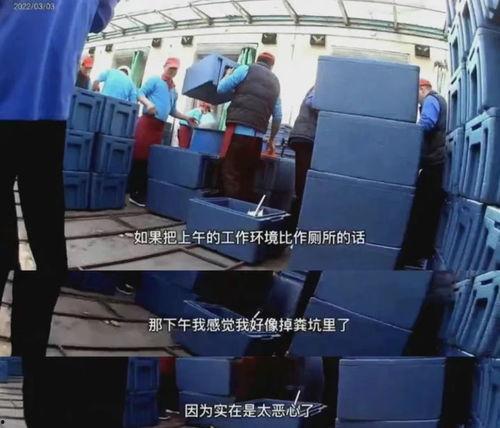 天津小学生配餐爆料视频,揭露校园食品安全疑云